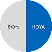 地域別売上高構成比（2020年度）