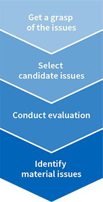 Get a grasp of the issues, Select candidate issues, Conduct evaluation, Identify mateial issures