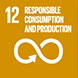 12. Responsible Consumption and Production